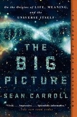 Big Picture: On the Origins of Life, Meaning, and the Universe Itself hind ja info | Majandusalased raamatud | kaup24.ee