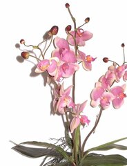 Искусственный цветок «Oрхидея», 70 см цена и информация | Искусственные цветы | kaup24.ee