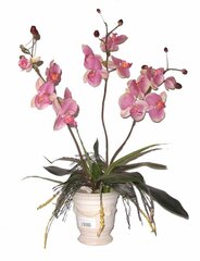 Искусственный цветок «Oрхидея», 70 см цена и информация | Искусственные цветы | kaup24.ee
