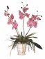 Kunstlik taim Orhidee 70cm hind ja info | Kunstlilled | kaup24.ee