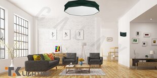 Потолочный светильник TK Lighting Kantoor 1081 цена и информация | Потолочные светильники | kaup24.ee