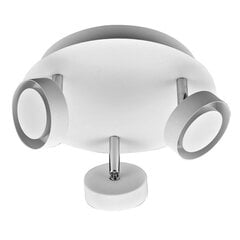 Потолочный светильник Italux Alexa HP-918BM-03-8989BM цена и информация | Потолочные светильники | kaup24.ee
