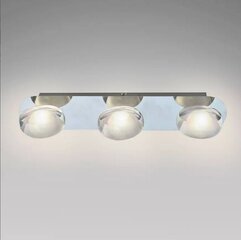 Потолочный светильник Italux Steven ZWB-0001-03CH цена и информация | Потолочные светильники | kaup24.ee