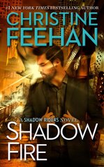 Shadow Fire цена и информация | Фантастика, фэнтези | kaup24.ee