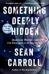 Something Deeply Hidden: Quantum Worlds and the Emergence of Spacetime цена и информация | Книги по экономике | kaup24.ee