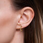 PDPAOLA Kullatud hõbedast kõrvarõngad sädelevate tsirkoonidega GLORY Gold AR01-220-U hind ja info | Kõrvarõngad | kaup24.ee