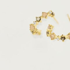 PDPAOLA Kullatud hõbedast kõrvarõngad sädelevate tsirkoonidega GLORY Gold AR01-220-U hind ja info | Kõrvarõngad | kaup24.ee