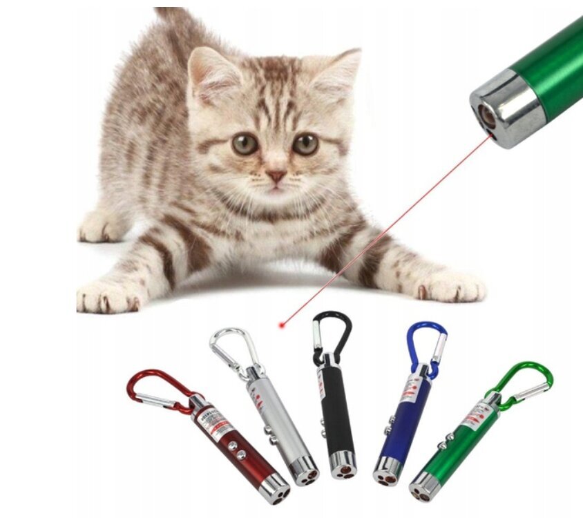 Laseri ja taskulambiga võtmehoidja, 3 tk цена и информация | Originaalsed võtmehoidjad | kaup24.ee