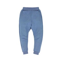 Разминочные спортивные брюки для мальчика синего цвета с накладными карманами сзади, Tup Tup цена и информация | Шорты для мальчиков | kaup24.ee