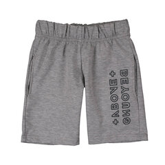 Короткие шорты для мальчиков, серые, Tup Tup цена и информация | Шорты для мальчиков | kaup24.ee