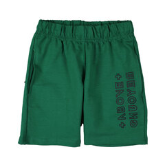 Короткие шорты для мальчиков, зеленые, Tup Tup цена и информация | Poiste lühikesed püksid | kaup24.ee
