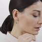 Brosway Pronksist ühekordsed kõrvarõngad Neljaleheline ristik Chakra BHKE003 цена и информация | Kõrvarõngad | kaup24.ee