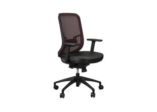 Офисное кресло A2A GN-310, бордовое цена и информация | Офисные кресла | kaup24.ee