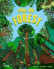 Pop-Up Forest цена и информация | Книги для малышей | kaup24.ee