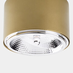 Потолочный светильник TK Lighting Moris 3349 цена и информация | Потолочные светильники | kaup24.ee