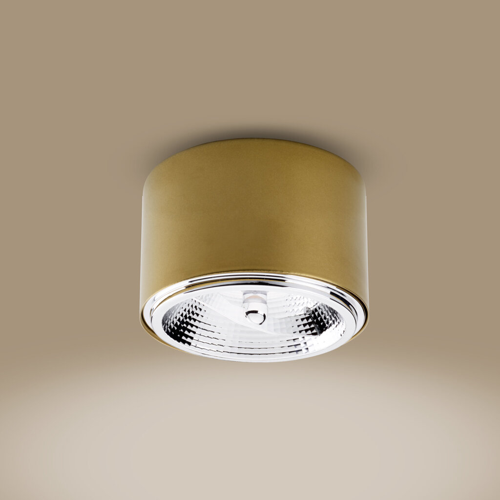 Laevalgusti TK Lighting Moris 3349 цена и информация | Laelambid | kaup24.ee