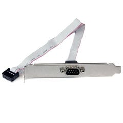 Adapter Startech PLATE9M16  IDC Hall DB9 цена и информация | Адаптеры и USB-hub | kaup24.ee