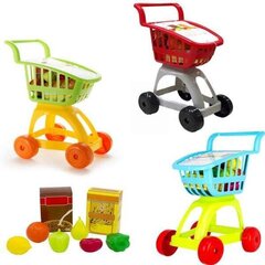 Einete Komplekt Shopping hind ja info | Tüdrukute mänguasjad | kaup24.ee