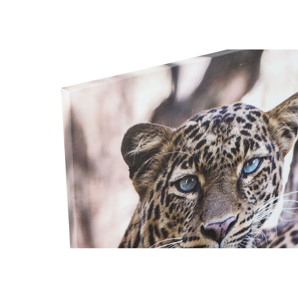 Maal DKD Home Decor Leopard (50 x 1.8 x 70 cm) (3 pcs) цена и информация | Seinapildid | kaup24.ee
