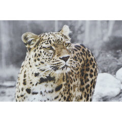 Maal DKD Home Decor Leopard (50 x 1.8 x 70 cm) (4 pcs) цена и информация | Картины, живопись | kaup24.ee