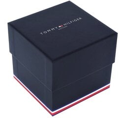 Мужские часы Tommy Hilfiger Evan 1710397 + BOX цена и информация | Женские часы | kaup24.ee