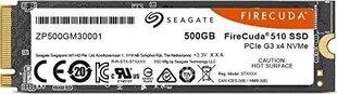 Seagate ZP500GM3A001 500 GB hind ja info | Sisemised kõvakettad (HDD, SSD, Hybrid) | kaup24.ee