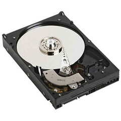 Dell NPOS 3,5" 1 TB цена и информация | Внутренние жёсткие диски (HDD, SSD, Hybrid) | kaup24.ee