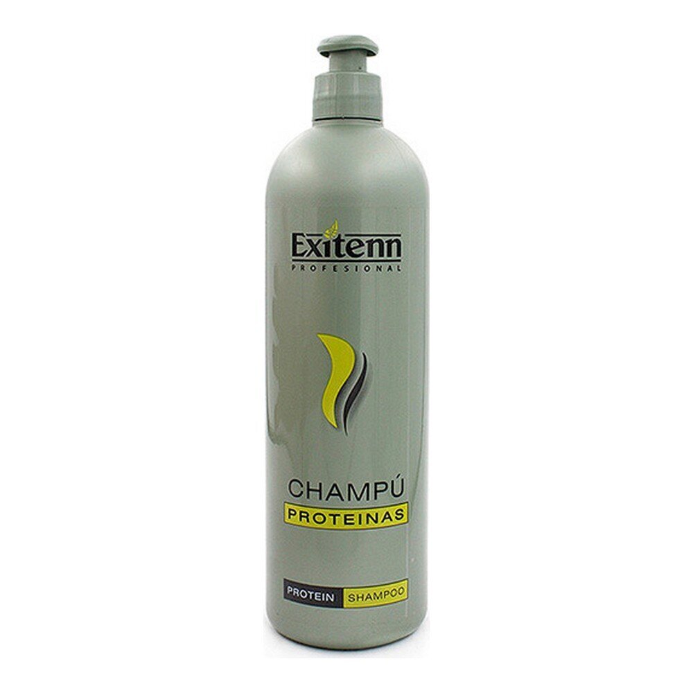 Toitev šampoon kuivadele ja kahjustatud juustele CHAMPU PROTEINAS hind ja info | Šampoonid | kaup24.ee