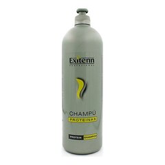 Toitev šampoon kuivadele ja kahjustatud juustele CHAMPU PROTEINAS цена и информация | Шампуни | kaup24.ee