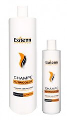 Šampoon värvitud juustele CHAMPU NUTRICOLOR hind ja info | Šampoonid | kaup24.ee