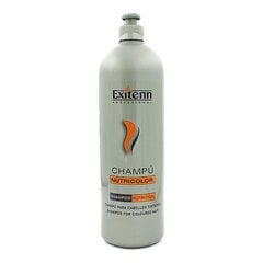 Шампунь для окрашенных волос CHAMPU NUTRICOLOR цена и информация | Шампуни | kaup24.ee