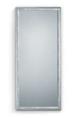 Зеркало Мари, 78 х 178 см, серебро цена и информация | Зеркала | kaup24.ee