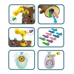 Аркадная игра Woopie - поймай червяка цена и информация | Развивающие игрушки | kaup24.ee
