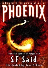 Phoenix цена и информация | Книги для подростков и молодежи | kaup24.ee