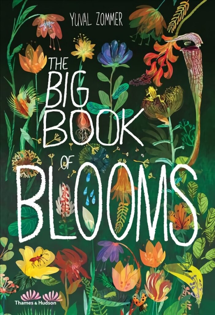 Big Book of Blooms hind ja info | Noortekirjandus | kaup24.ee