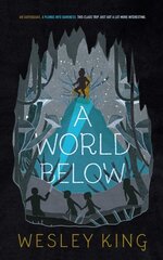 World Below Reprint цена и информация | Книги для подростков и молодежи | kaup24.ee