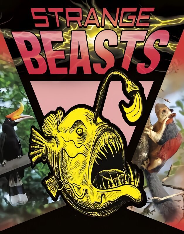 Strange Beasts цена и информация | Noortekirjandus | kaup24.ee