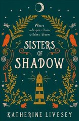 Sisters of Shadow цена и информация | Книги для подростков и молодежи | kaup24.ee