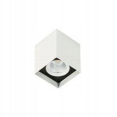 Потолочный светильник Italux Alden SLC78002/12W цена и информация | Потолочные светильники | kaup24.ee