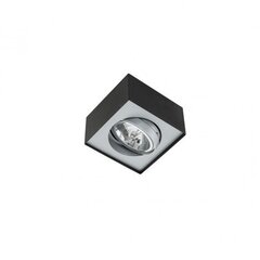 Потолочный светильник Italux Lauren FH30531S цена и информация | Потолочные светильники | kaup24.ee