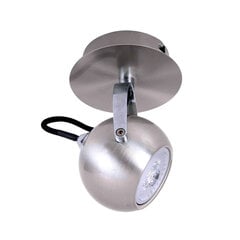 Потолочный светильник Italux Nicola FH5951BJ-80SN цена и информация | Потолочные светильники | kaup24.ee