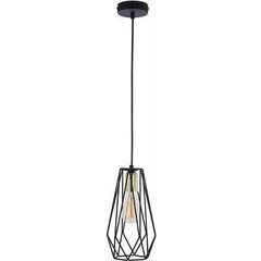 Подвесной светильник TK Lighting Lugo 2547 цена и информация | Потолочный светильник, 38 x 38 x 24 см | kaup24.ee