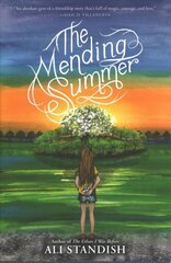 Mending Summer цена и информация | Книги для подростков и молодежи | kaup24.ee