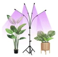 Светильник 20 LED 4 части с подставкой для выращивания растений цена и информация | Проращиватели, лампы для растений | kaup24.ee