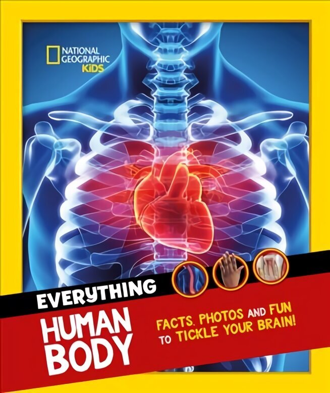 Everything: Human Body: Eye-Opening Facts and Photos to Tickle Your Brain! цена и информация | Noortekirjandus | kaup24.ee