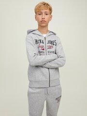 Jack & Jones детская кофта 12218049*01, светло-серый цена и информация | Свитеры, жилетки, пиджаки для мальчиков | kaup24.ee