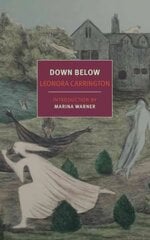 Down Below Main цена и информация | Биографии, автобиогафии, мемуары | kaup24.ee