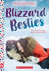 Blizzard Besties: A Wish Novel цена и информация | Книги для подростков и молодежи | kaup24.ee