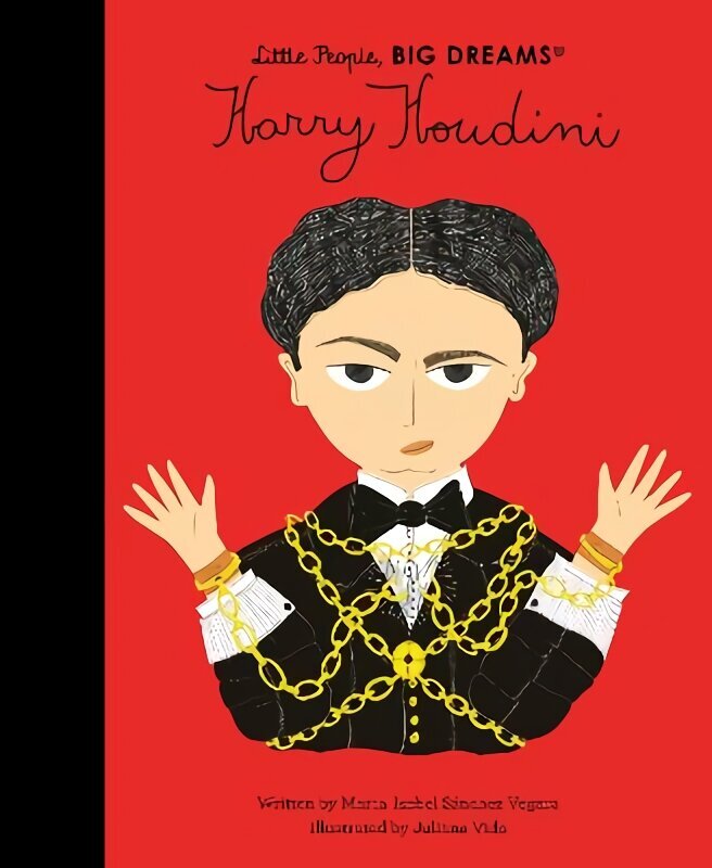 Harry Houdini цена и информация | Noortekirjandus | kaup24.ee