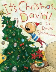 It's Christmas, David! hind ja info | Noortekirjandus | kaup24.ee